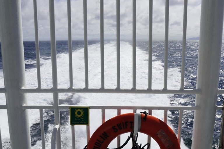Sea view through metal railings on aft deck