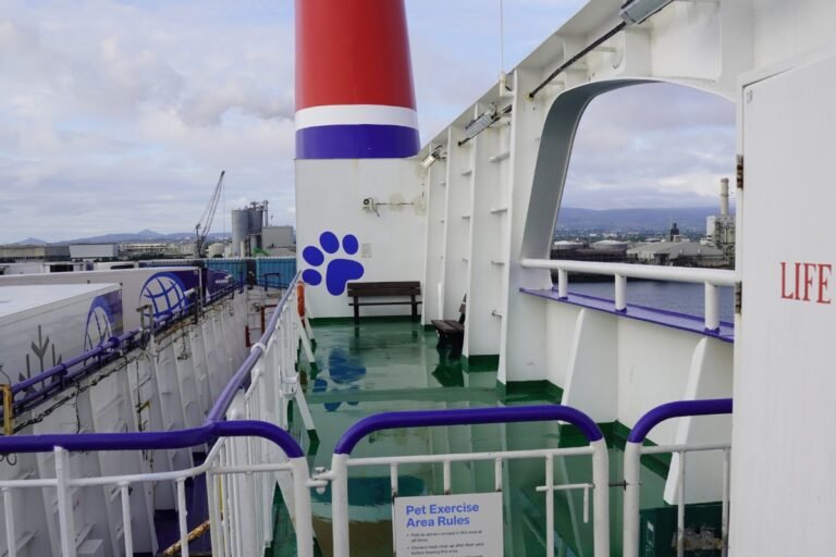 Outdoor pet area at rear of ferry